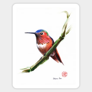 Little Hummer - Hummingbird prisma pencil & acrylic painting Sticker